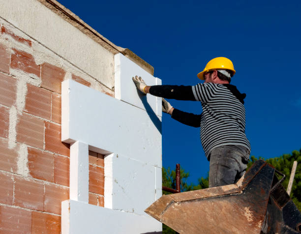 Best Best Insulation Companies  in Charleston, SC
