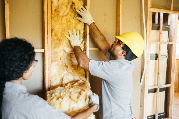 Best Home Insulation Services  in Charleston, SC
